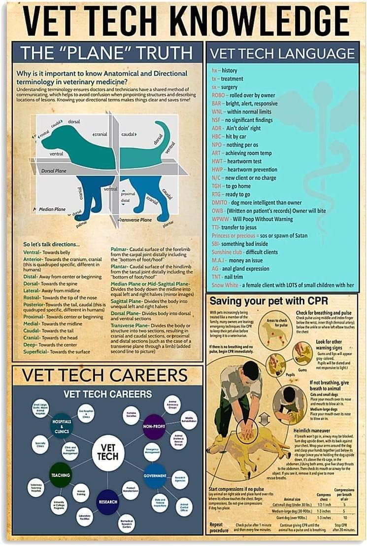 Tech Office Wall Art - ESETASOT Vintage Teneke Tabela Veteriner Teknolojisi